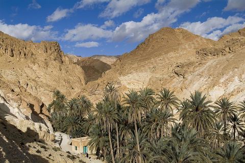 Village berbere de montagne et oasis de Chebika dans la region du Djerid au sud de la Tunisie