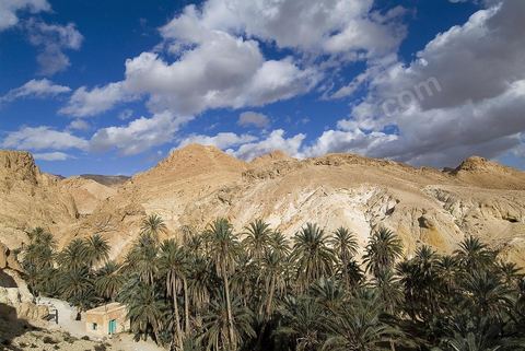 Village berbere de montagne et oasis de Chebika dans la region du Djerid au sud de la Tunisie