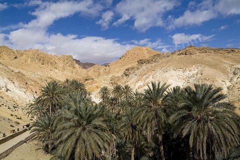 Village berbere de montagne et oasis de Chebika dans la region du Djerid au sud de la Tunisie