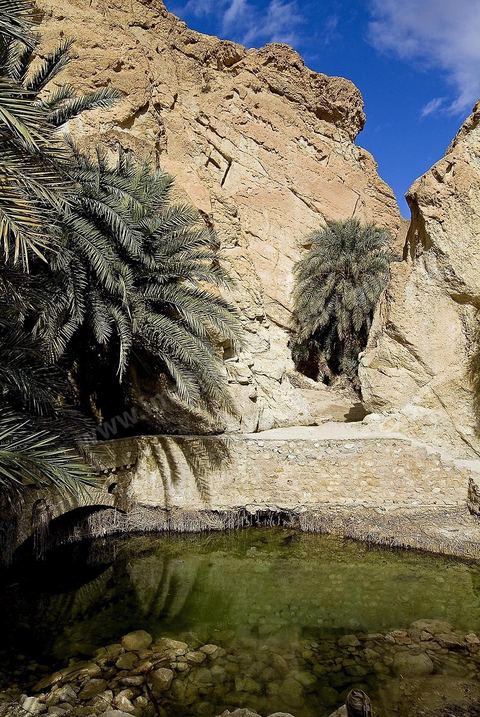 Village berbere de montagne et oasis de Chebika dans la region du Djerid au sud de la Tunisie