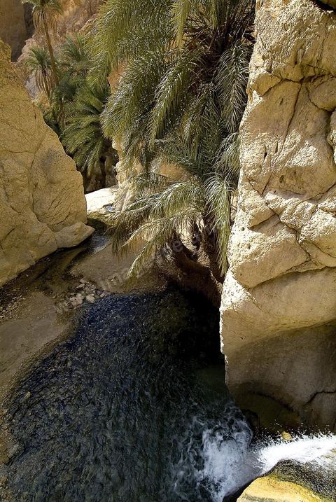 Village berbere de montagne et oasis de Chebika dans la region du Djerid au sud de la Tunisie