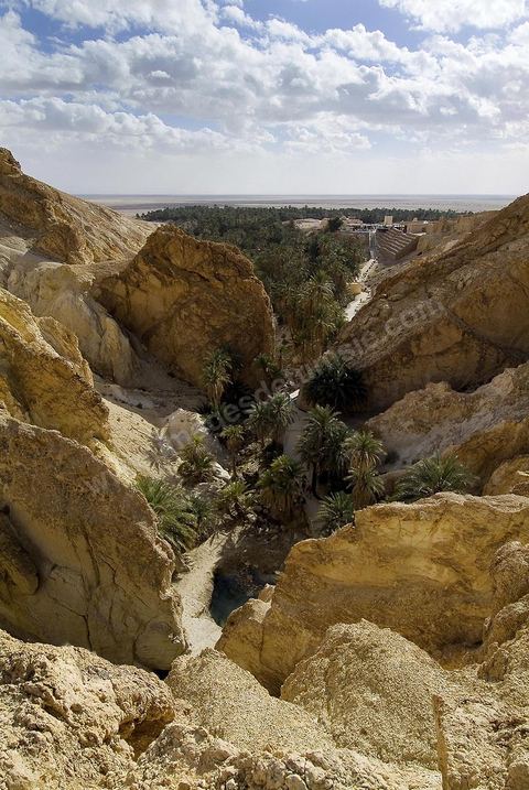 Village berbere de montagne et oasis de Chebika dans la region du Djerid au sud de la Tunisie