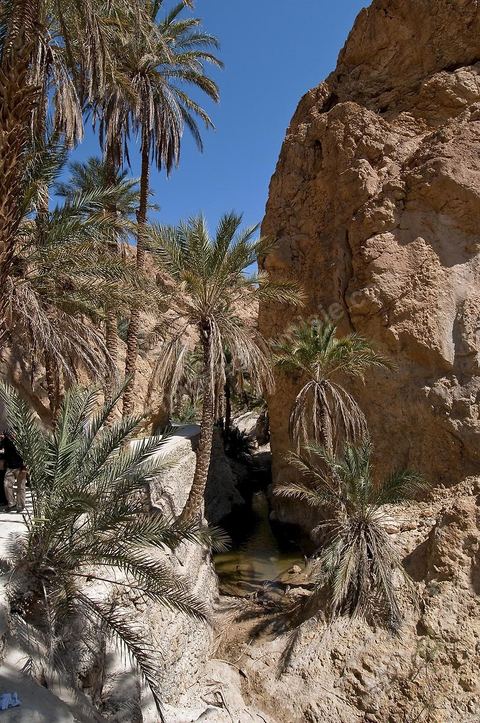 Village berbere de montagne et oasis de Chebika dans la region du Djerid au sud de la Tunisie