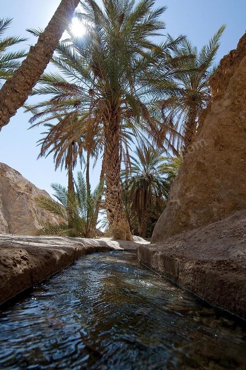 Village berbere de montagne et oasis de Chebika dans la region du Djerid au sud de la Tunisie