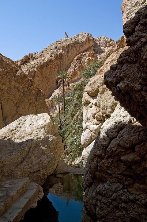 Village berbere de montagne et oasis de Chebika dans la region du Djerid au sud de la Tunisie