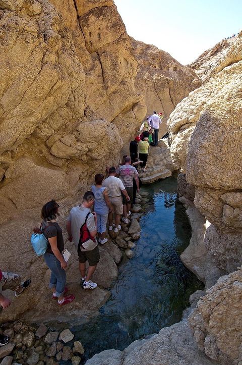 Village berbere de montagne et oasis de Chebika dans la region du Djerid au sud de la Tunisie