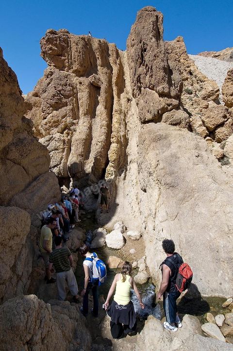 Village berbere de montagne et oasis de Chebika dans la region du Djerid au sud de la Tunisie