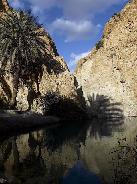 Village berbere de montagne et oasis de Chebika dans la region du Djerid au sud de la Tunisie