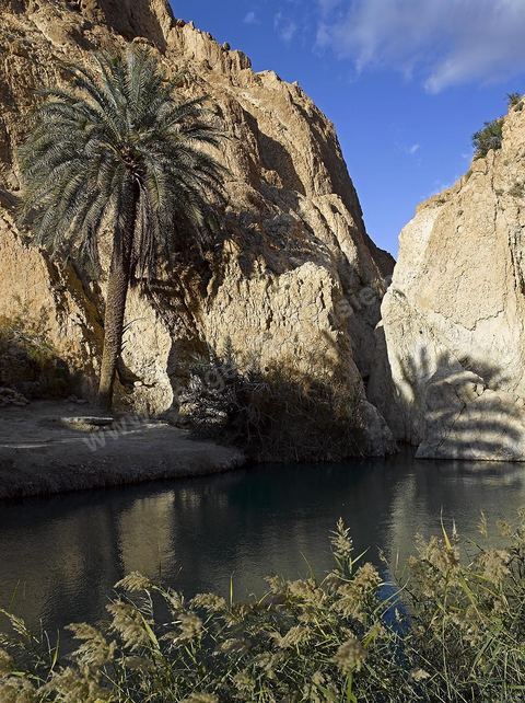 Village berbere de montagne et oasis de Chebika dans la region du Djerid au sud de la Tunisie