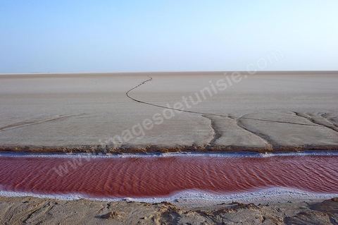 Chott el Djerid, mer de sel dans le sud tunisien