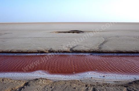 Chott el Djerid, mer de sel dans le sud tunisien