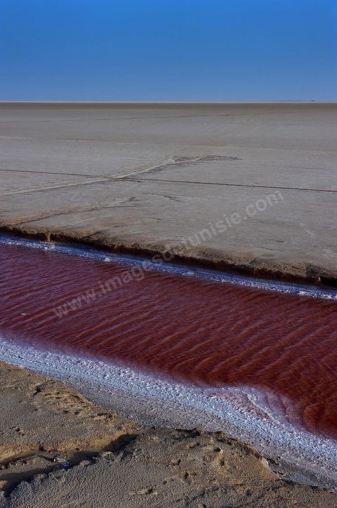 Chott el Djerid, mer de sel dans le sud tunisien