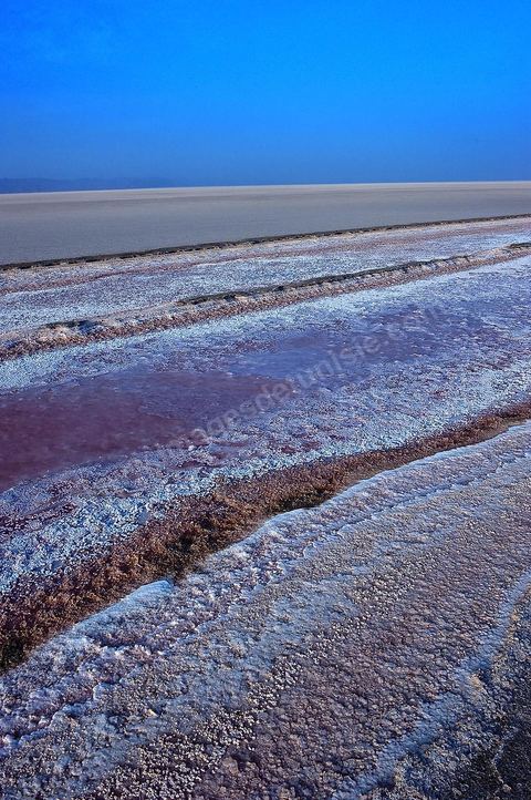 Chott el Djerid, mer de sel dans le sud tunisien