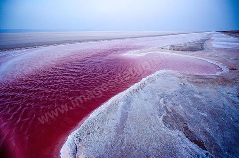 Chott el Djerid, mer de sel dans le sud tunisien