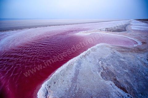 Chott el Djerid, mer de sel dans le sud tunisien