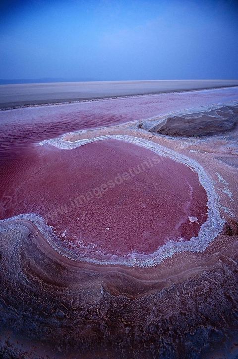 Chott el Djerid, mer de sel dans le sud tunisien