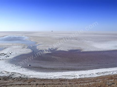 Chott el Djerid, mer de sel dans le sud tunisien