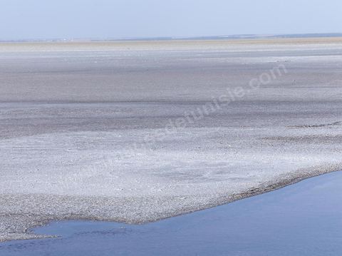 Chott el Djerid, mer de sel dans le sud tunisien