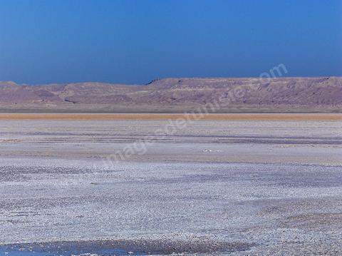 Chott el Djerid, mer de sel dans le sud tunisien
