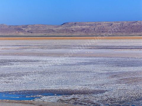 Chott el Djerid, mer de sel dans le sud tunisien
