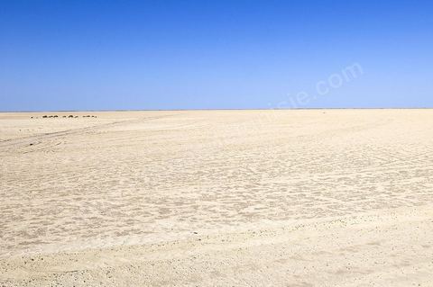 Chott el Djerid, mer de sel dans le sud tunisien