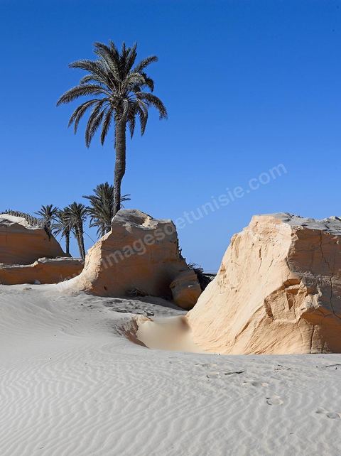 Les formatsions de sable de Debbecha