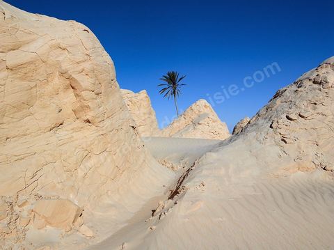 Les formatsions de sable de Debbecha