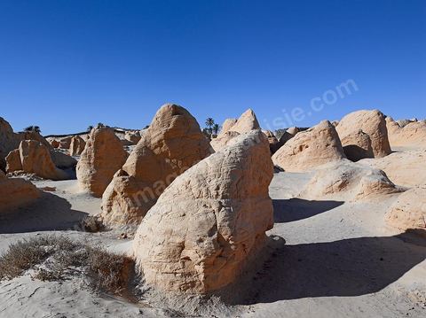 Les formatsions de sable de Debbecha