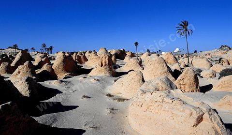 Les formatsions de sable de Debbecha