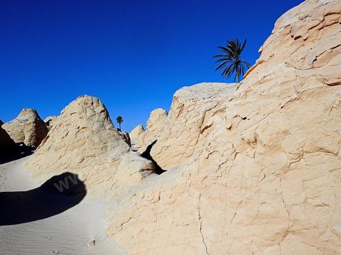 Les formatsions de sable de Debbecha