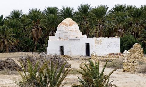 Oasis de El Hamma au nord de Tozeur pendant la saison de la cueillette des dattes