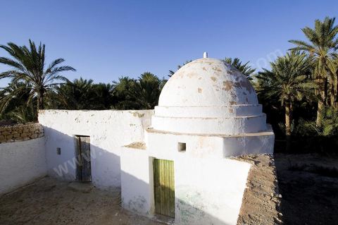 Oasis de El Hamma au nord de Tozeur pendant la saison de la cueillette des dattes