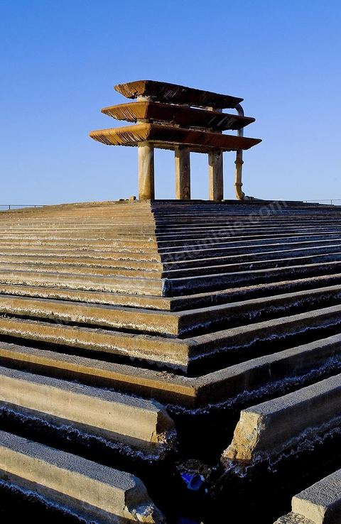 Oasis de El Hamma au nord de Tozeur pendant la saison de la cueillette des dattes