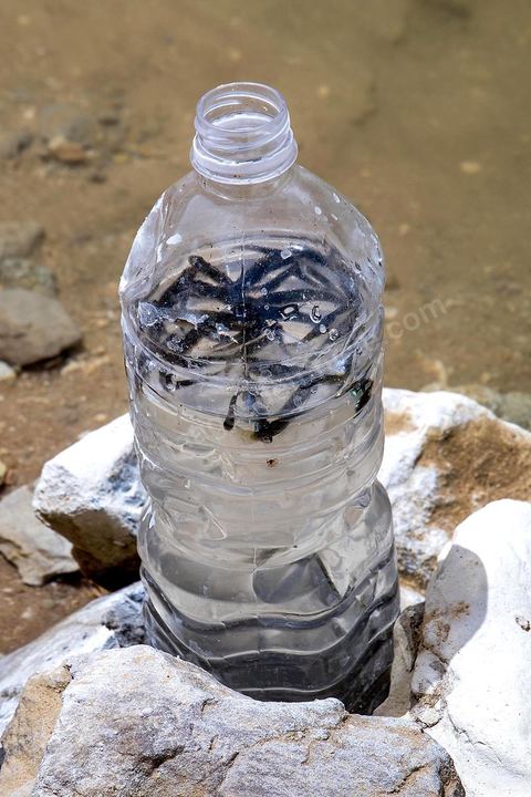 After the warnings and health risk advisories were issued, families started coming more out of curiosity to see the lake, but they no longer go swimming there. They all came back with a bottle of that water and a few fish from the lake—the "Gafsa Beach" lake.