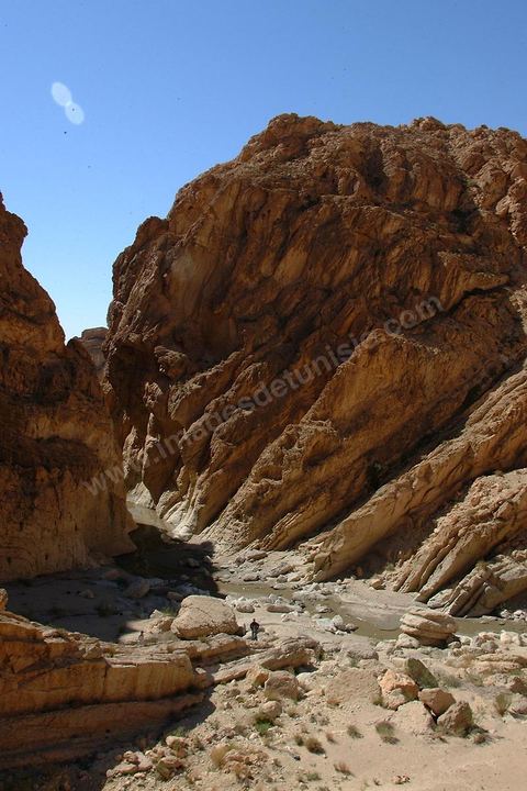 Le lézard rouge dans les gorges de Selja