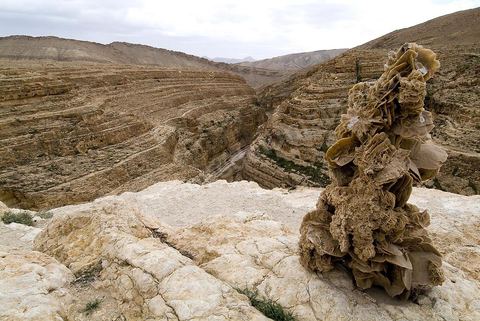 Oasis de montagne, canyon  et village de Midès
