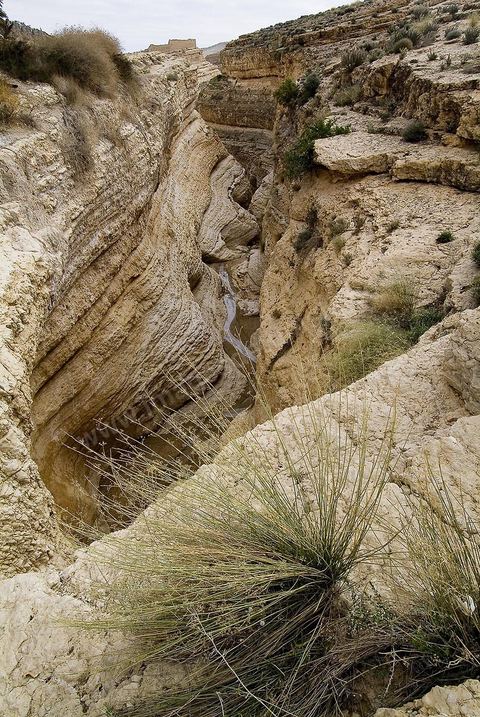 Oasis de montagne, canyon  et village de Midès
