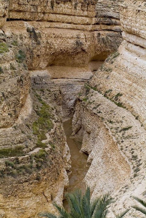 Oasis de montagne, canyon  et village de Midès
