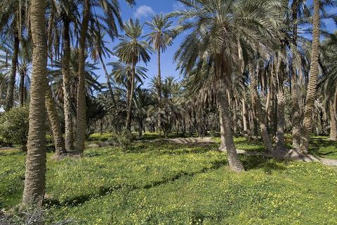 Oasis de montagne, canyon  et village de Midès