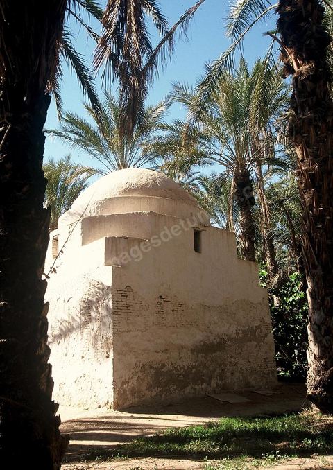 Marabout dans la palmeraie de Nefta