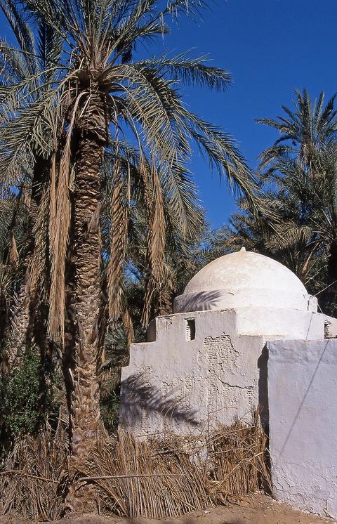 Marabout dans la palmeraie de Nefta
