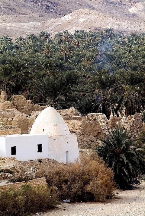 Vieux village de Tamerza avec ses marabouts