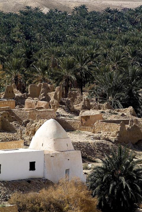 Vieux village de Tamerza avec ses marabouts