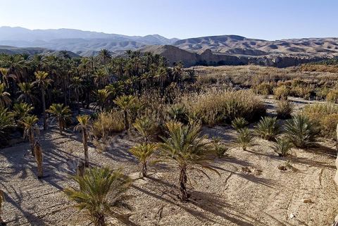 Oasis de Tamerza