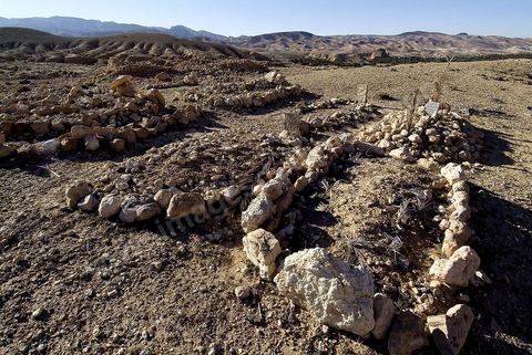 Tombes du cimetière sur les collines suprlombant le village de Tamerza