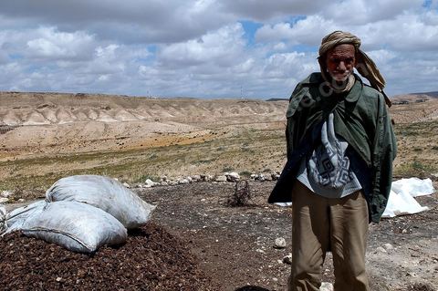 Portrait d'un éleveur dans les montagnes de Tamerza