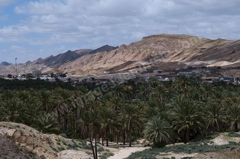 Village et oasis de Tamerza