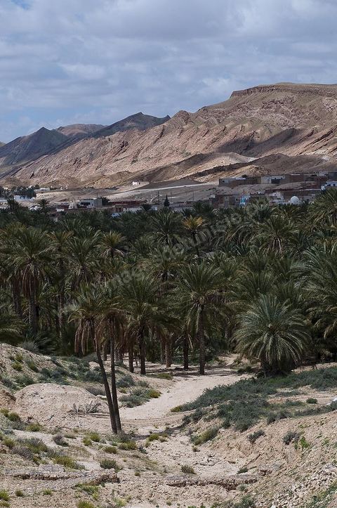Village et oasis de Tamerza