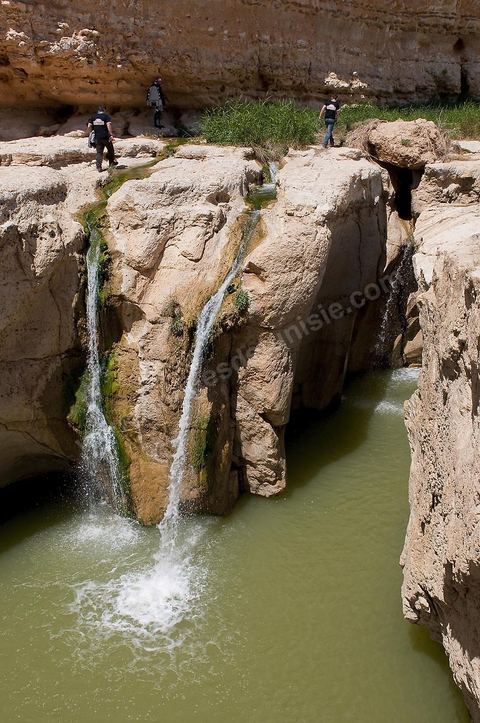 Falaises et cascades de Tamerza
