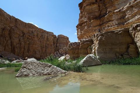 Falaises et cascades de Tamerza